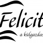 feliciter_logo_01.jpg